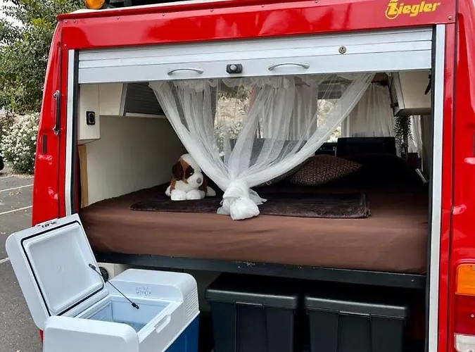 Conny, A Mercedes Firefighter Camper Los Cristianos (Tenerife)